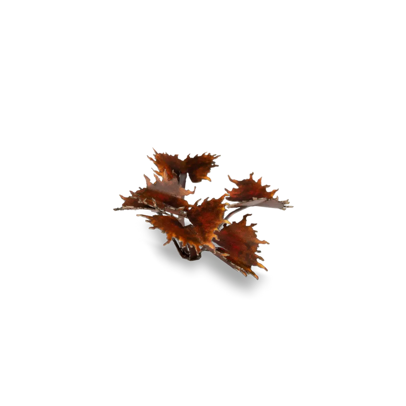 Laser Plants - Alien Flytrap