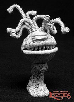 Conjuctivus