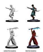 Human Rogue(Wizkids)Male/Female