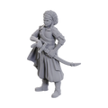 Wizkids! Dungeons & Dragons Nolzur's Marvelous Miniatures - ANSALON HUMAN ROGUE