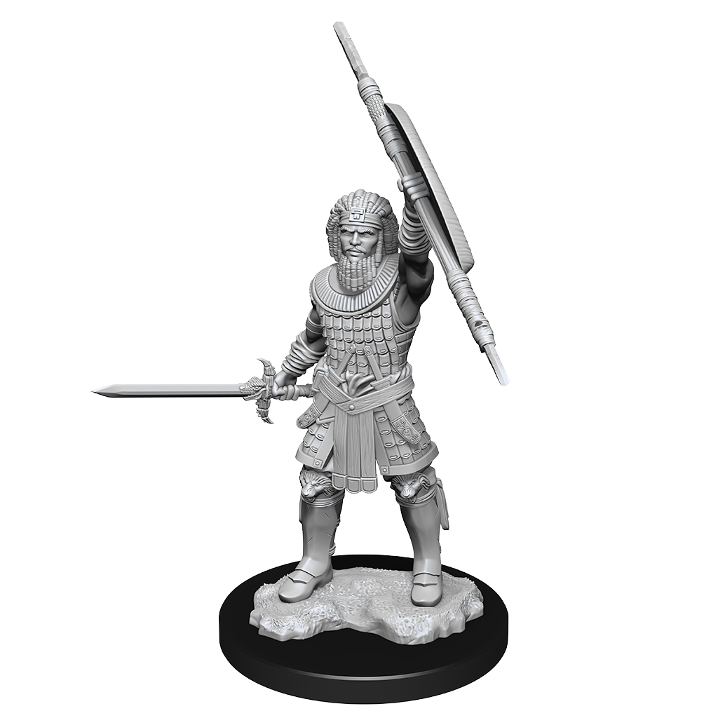 Dungeons & Dragons Nolzur`s Marvelous Unpainted Miniatures: W13 Human Fighter Male