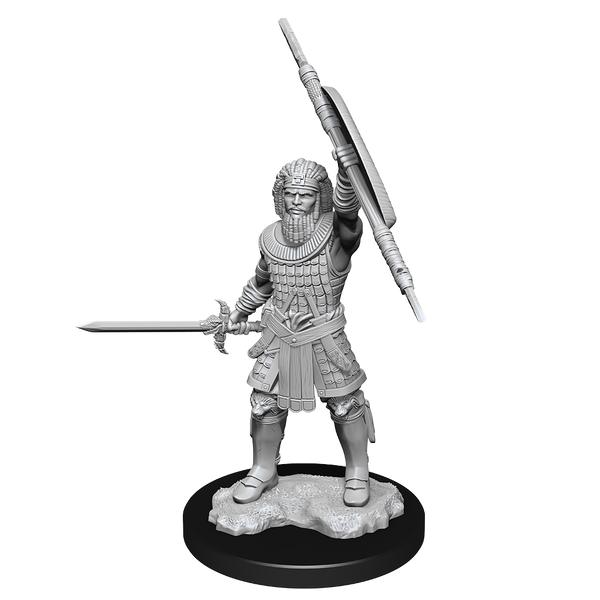 Dungeons & Dragons Nolzur`s Marvelous Unpainted Miniatures: W13 Human Fighter Male