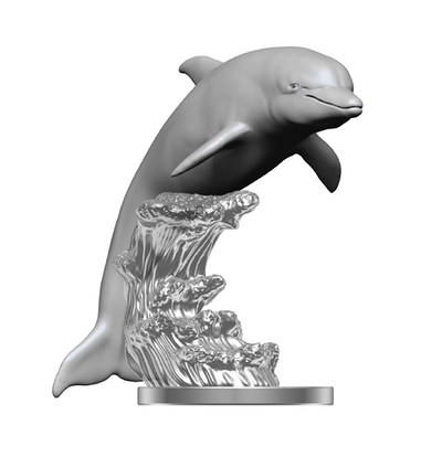 Dolphins