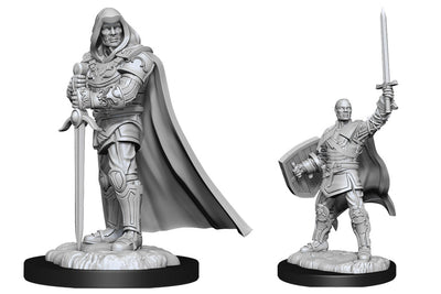 WizKids Nolzur's Marvelous Miniatures: Unpainted Miniatures: Human Paladin Male