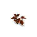 Laser Plants -  Alien Flytrap