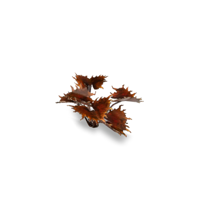 Laser Plants -  Alien Flytrap