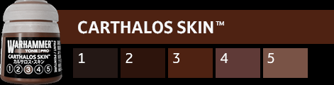 Warhammer Tone Pro Carthalos Skin