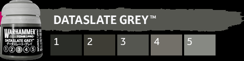 Warhammer Tone Pro Dataslate Grey