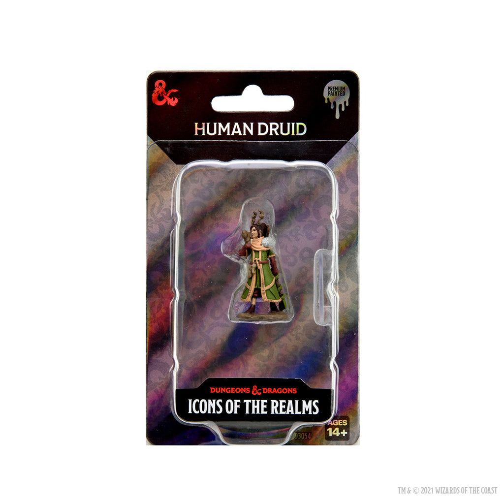 Dungeons & Dragons Icons of the Realms Premium Female Human Druid