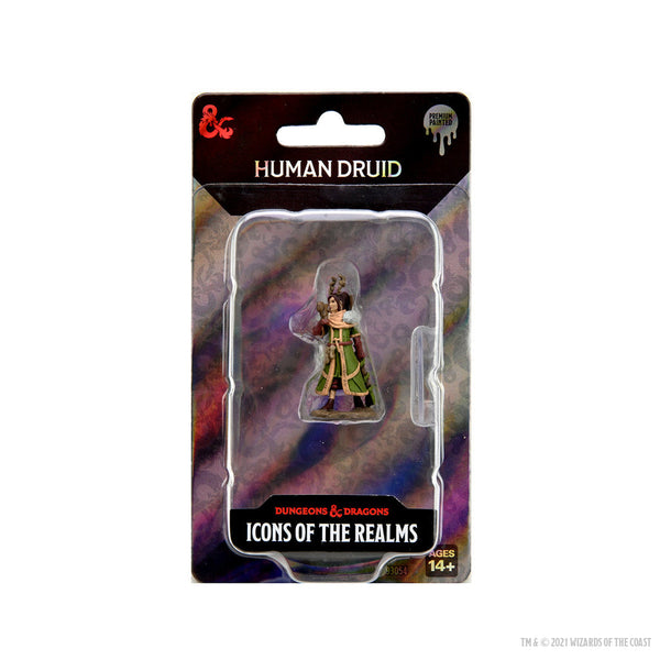 Dungeons & Dragons Icons of the Realms Premium Female Human Druid