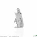 Alandin Elf Paladin