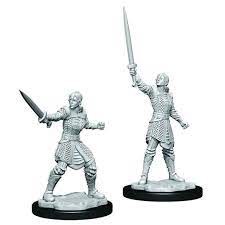 Wizkids Critical Roll Human Dwendalian Empire Fighter