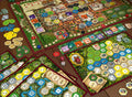 The Castles of Burgandy
