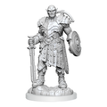 Earth Genasi Fighter(Wotc)