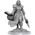 Orc Fighter(Wizkids)Male/Female