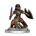 Shifter Fighter (Male/Female)