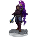 Half-Elf Warlock(Wotc)