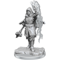 Half-Elf Warlock(Wotc)