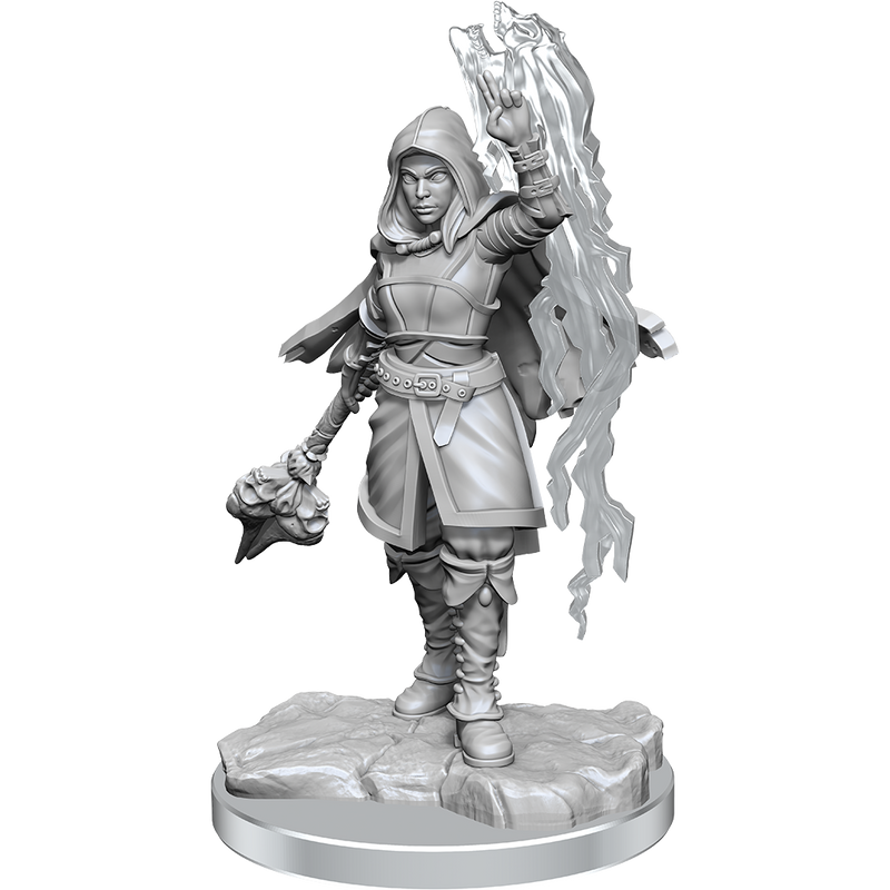 Half-Elf Warlock(Wotc)