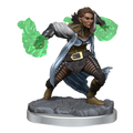 Half-Elf Warlock(Wotc)